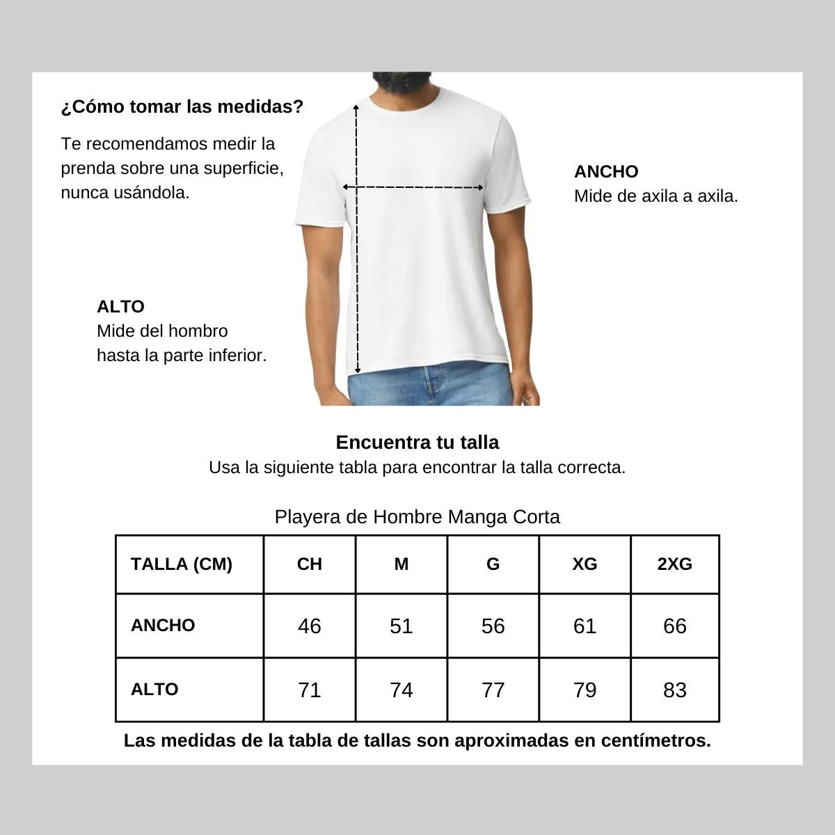 Playera Premium Cuello Redondo Manga Corta Algodón  Blanco